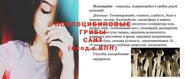 крисы Алексеевка