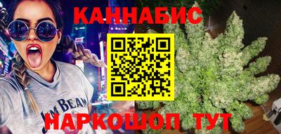 гашик Лесосибирск