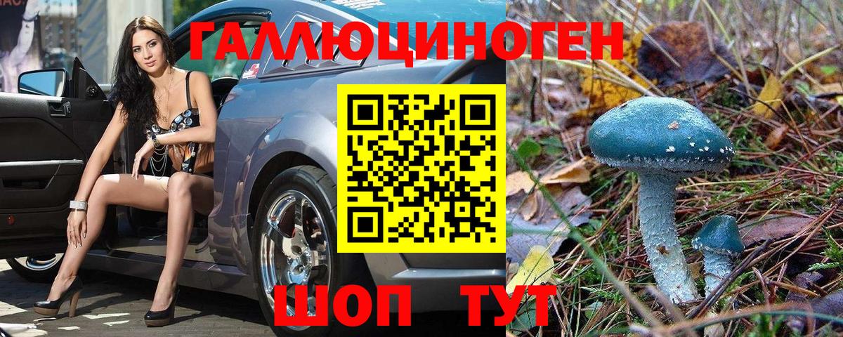 где купить наркотик  Псилоцибиновые грибы мухоморы  Псилоцибиновые грибы Magic Shrooms  Вход с VPN  Заводоуковск 